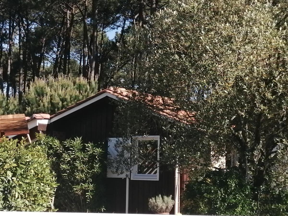 Maison Familiale En Bois Avec Piscine, Proche Du Bassin Gujan-Mestras Exterior photo