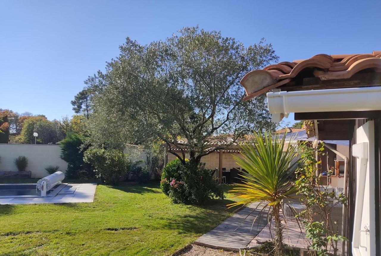 Maison Familiale En Bois Avec Piscine, Proche Du Bassin Gujan-Mestras Exterior photo
